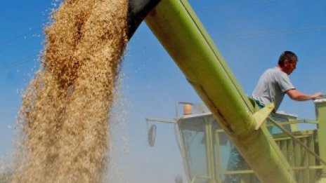 Отчетен е рекорден износ на пшеница от пристанище Варна