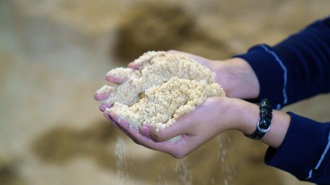 Цената на захарта се понижава по световните борси, водена от прогнози за излишък