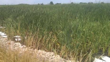 МОСВ инструктира Лукойл да изгради защитни хидротехнически съоръжения