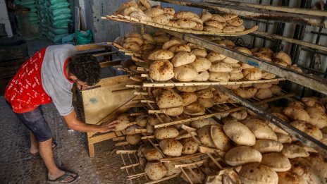 Франция и България заменят Русия в доставката на половин милион тона пшеница за Египет