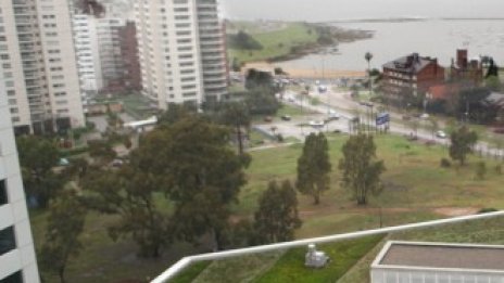 Защо зелените покриви изникват в цял свят