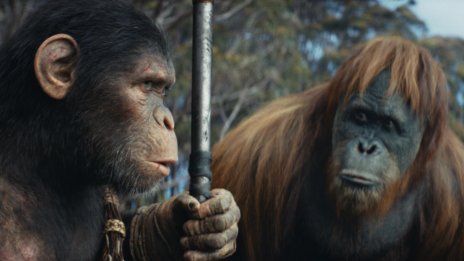 Новият филм от поредицата „Планетата на маймуните“ е най-гледаният в българските кина