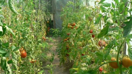 Проекти на млади фермери за калифорнийски червеи няма да получават евросубсидии