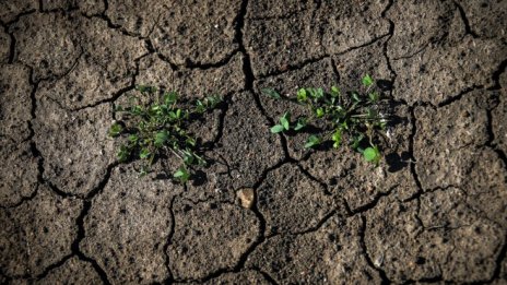 ООН: Затоплянето на Земята с 1,5°С ще бъде постигнато още през 2035 г.*