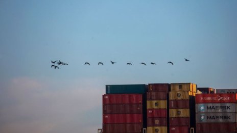 Износът на ЕС за САЩ спада за втори пореден месец през май