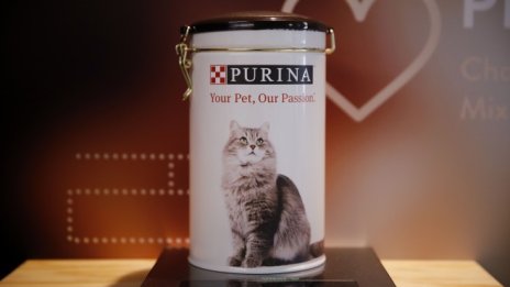 Приходите на Nestle растат заради скока в търсенето на храни за домашни любимци