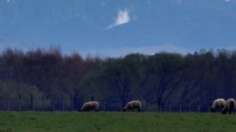 13 млн. лв. по ОПОС са предвидени за отчуждаване на земи в НАТУРА 2000