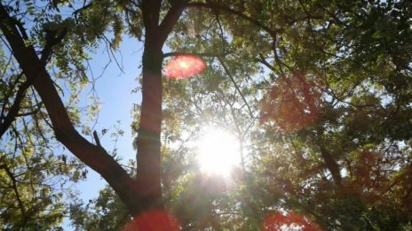 Горите в борбата с климатичните промени