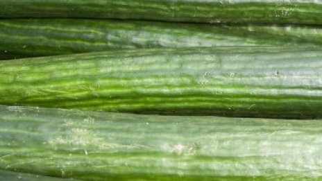 И Саудитска Арабия забрани европейските зеленчуци 