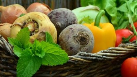 Цените на плодовете и зеленчуците остават без промяна в края на октомври