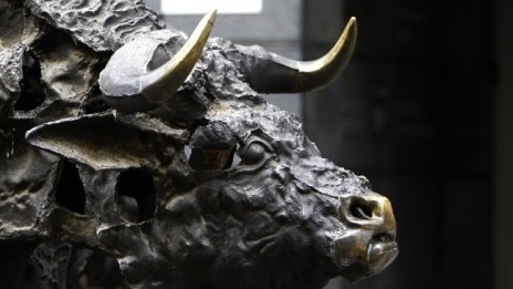 Даниел Димитров: Раздвижването на БФБ заради сезона на отчетите е временно явление