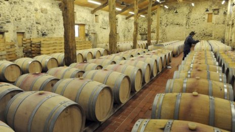 Нови домейни се превръщат в заплаха за големите производители на вина