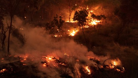 Кои бяха най-опасните метеорологични явления по света през 2023 г.?