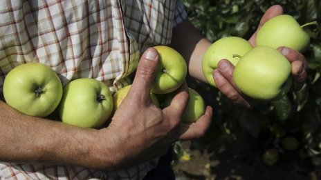 Почти 10 хил. ракети са  изстреляни в активния сезон  за борба с градушките