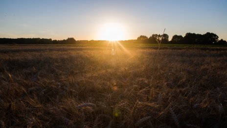 Пост-неолибералната ера залязва
