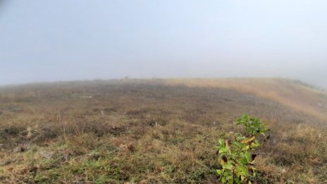 Печалбата на „Елана Агрокредит“ намалява с 5,3% за полугодието