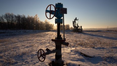 Норвежците са обсебени от Tesla, но не вярват в бъдеще без петрол