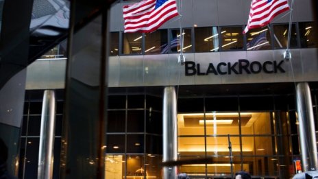 BlackRock: Развиващите се пазари са привлекателни