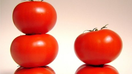 Индексът на тържищните цени спадна със 7% през май