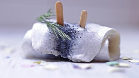 Световният глад за сьомга е свързан с екологична катастрофа