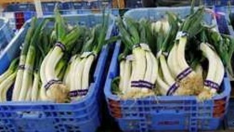 ЕС затяга контрола върху вноса на храни от Япония