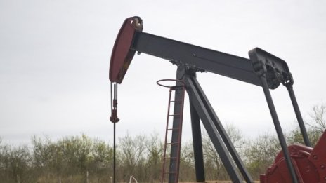 Вашингтон: Петролът от резерва бързо ще се отрази на цените 