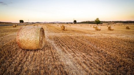 Земята в Добруджа е поевтиняла до 1345 лева за декар