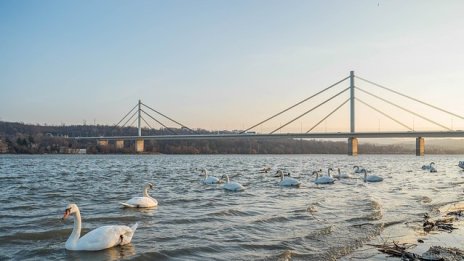 Наложително е изграждането на Дунав мост 3 според депутат