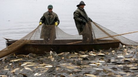 Рибари могат да кандидатстват с проекти за преработка на улова