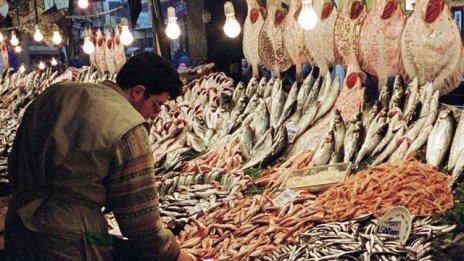 България запазва квотата за улов на калкан през 2016 г.