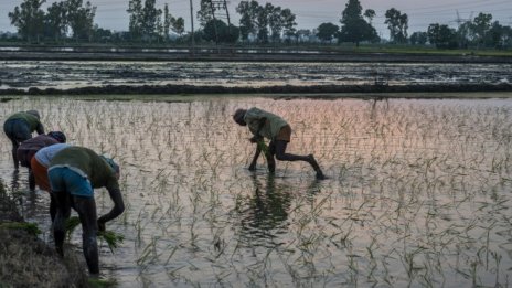 Климатичните промени увеличават риска от недостиг на храни