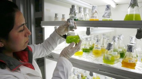 Синтетичните горива могат да покрият около 50% от търсенето на петрол до 2050 г.