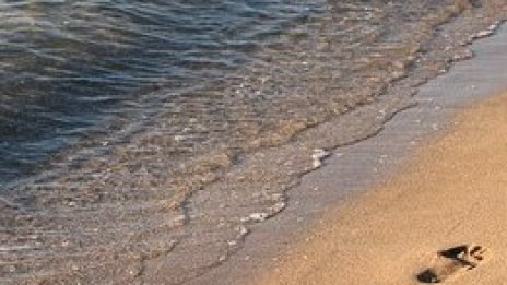 Бистро и бар ще се появят в близост до морето