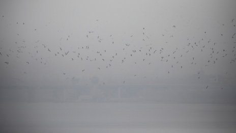 В София количеството на фините прахови частици надвишава трикратно нормата