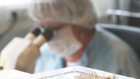 Прогнозирането във времена на стрес изисква различни лещи