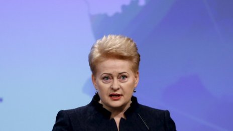 Естония и Литва няма да са част от алианс срещу ИДИЛ, включващ Русия