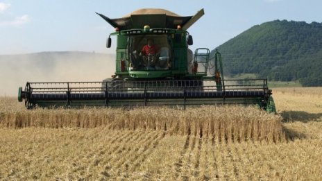 Август започна с ръст на цените на зърното по световните борси