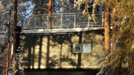 Да живееш в клоните на дърветата