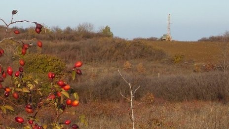 Зелен минерал ще "изяде" бизнеса на заводите за изкуствени торове