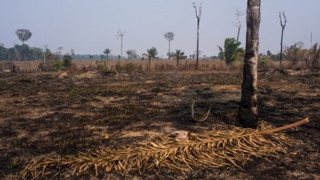 Климатичните промени ще елиминират националния суверенитет