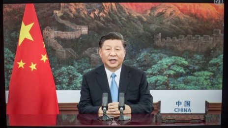 Си Дзинпин лично е взел решението за спирането на IPO-то на Ant Group