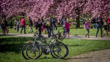 България е втора в ЕС по ръст на заетите на непълно работно време през пролетта