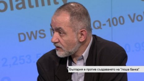 Само задлъжнели държави имат необходимост от "лоша банка"