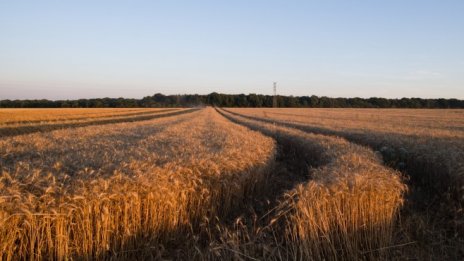Блокираното зърно ще може да напусне Украйна през три пристанища