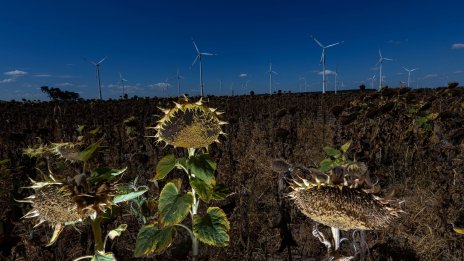 Едностранните действия за климата могат да имат непредвидени последствия