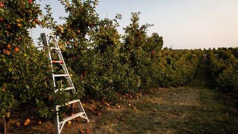 Бедните във Великобритания и САЩ са по-бедни от бедните в много други страни
