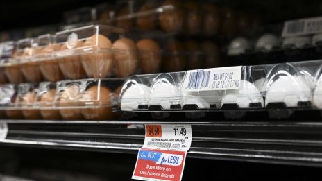 САЩ влизат в битка с нов вид контрабанда - яйца