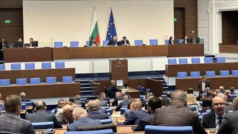 Парламентът отхвърли облекчаването на условията за провеждане на референдуми