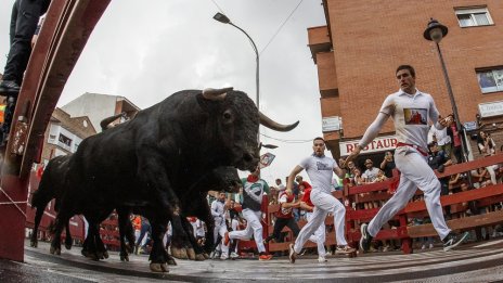 Кадър на деня за 31 август