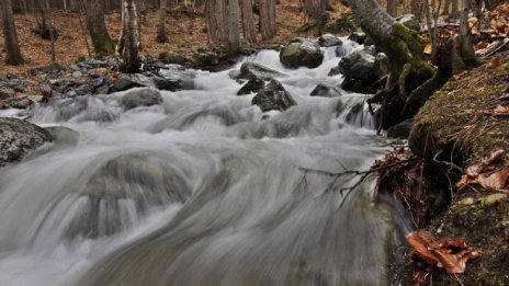 Инж. Димитър Куманов: Корекциите на реките не помагат срещу наводнения 